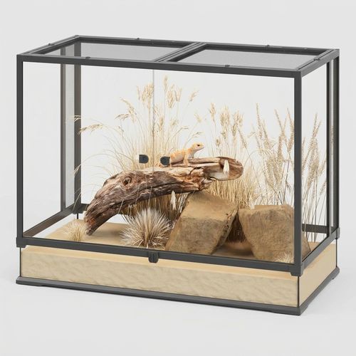 Erinnyees 74-Gallon Reptile Terrarium